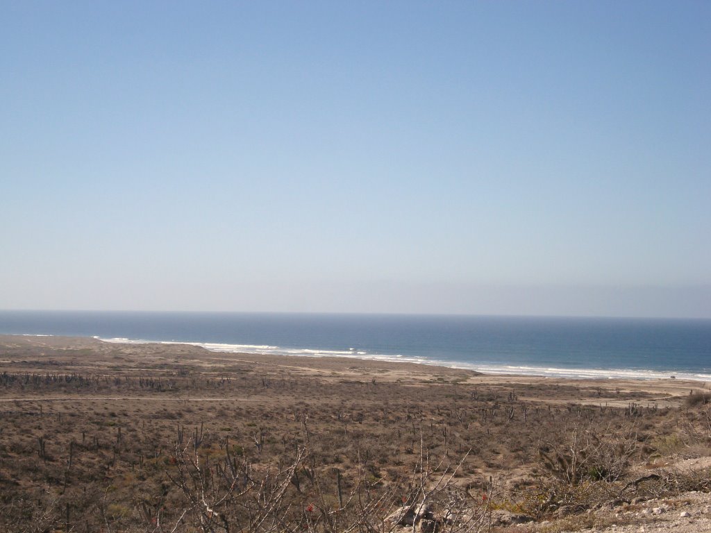 VISTA AL PACIFICO DESDE LA LOMA by ALONSO "RENO"