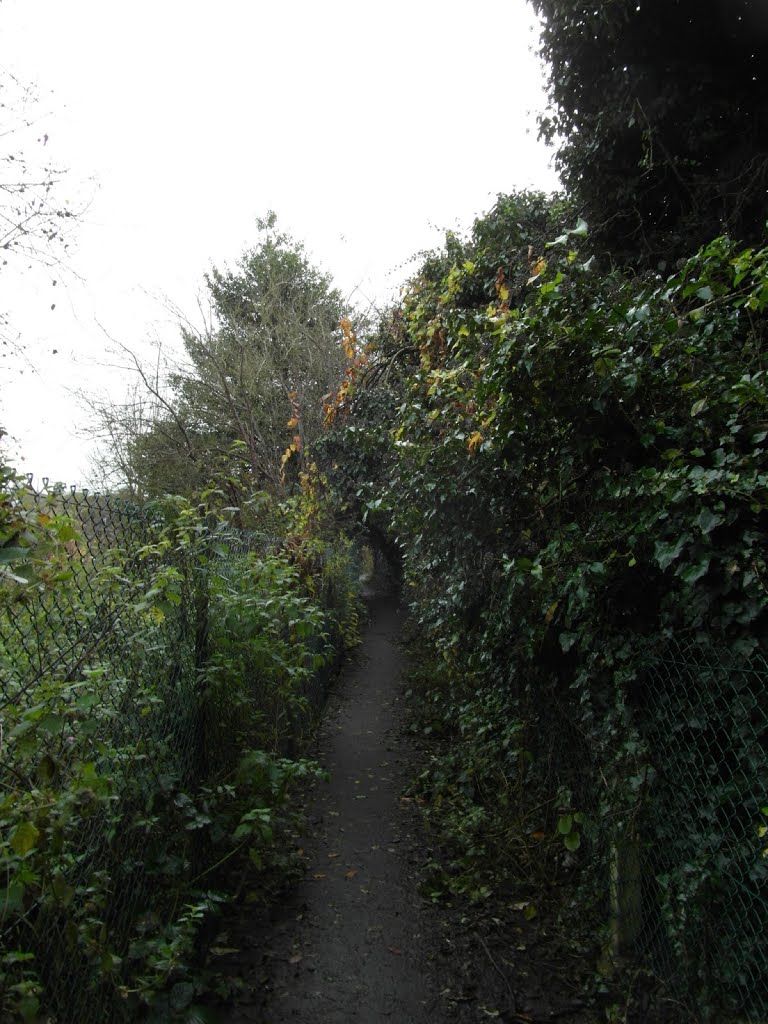 Footpath from Colchester to Hythe by Shimmerxxx