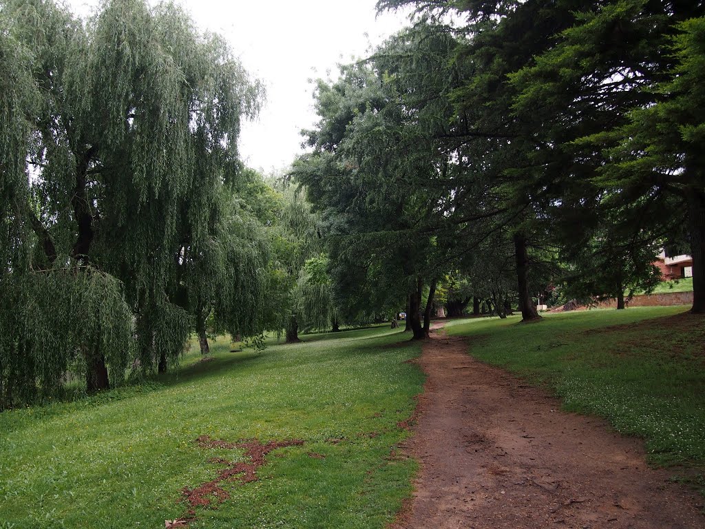 Pitt park in Wentworth Falls by WoollyMittens