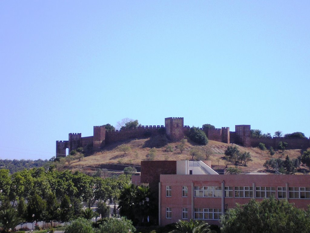 Castelo de Silves by melo1532