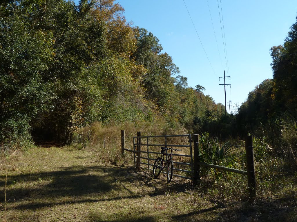 Border fence of San Felasco Preserve by intian