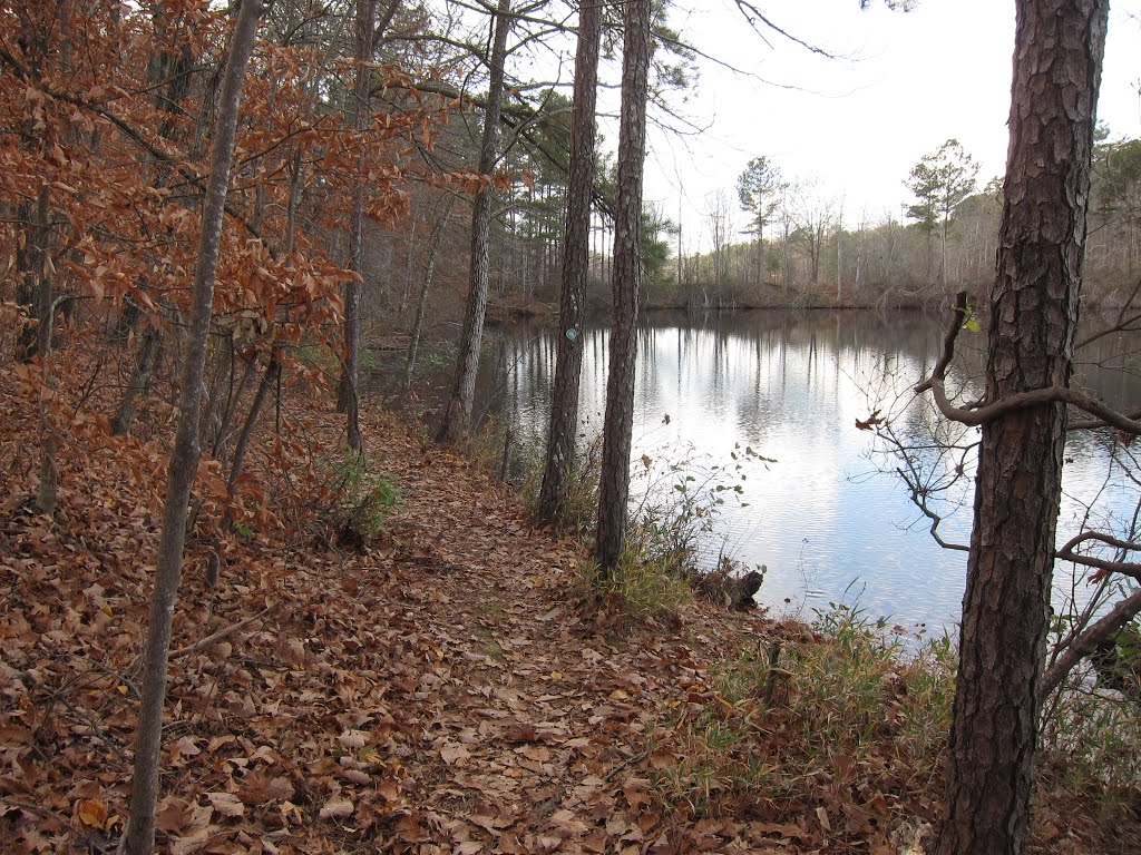 Stone Mountain Park Evergreen Heron Trail by bryanf