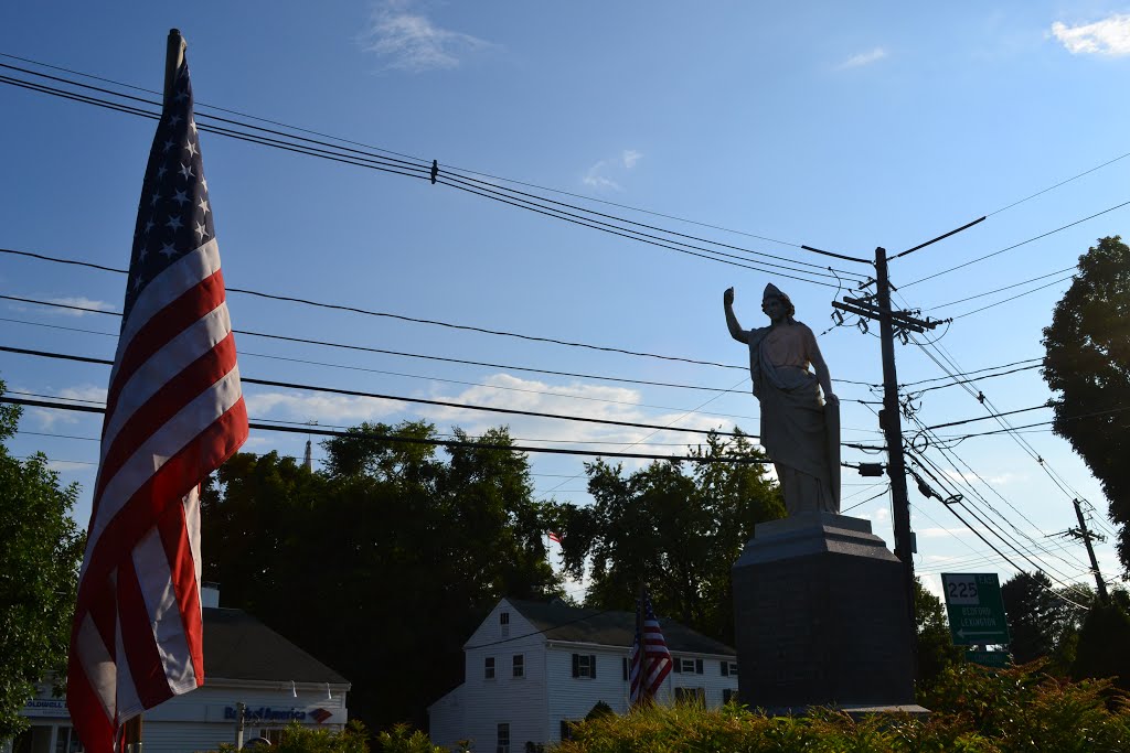 "Victory" Carlisle Memorial by weirdpix