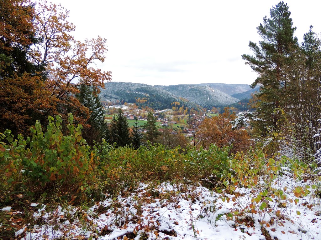 Spätherbst mit Schnee gezuckert - ** Late autumn sugared with snow by bayernengel ( i ♥ panoramio - no views)