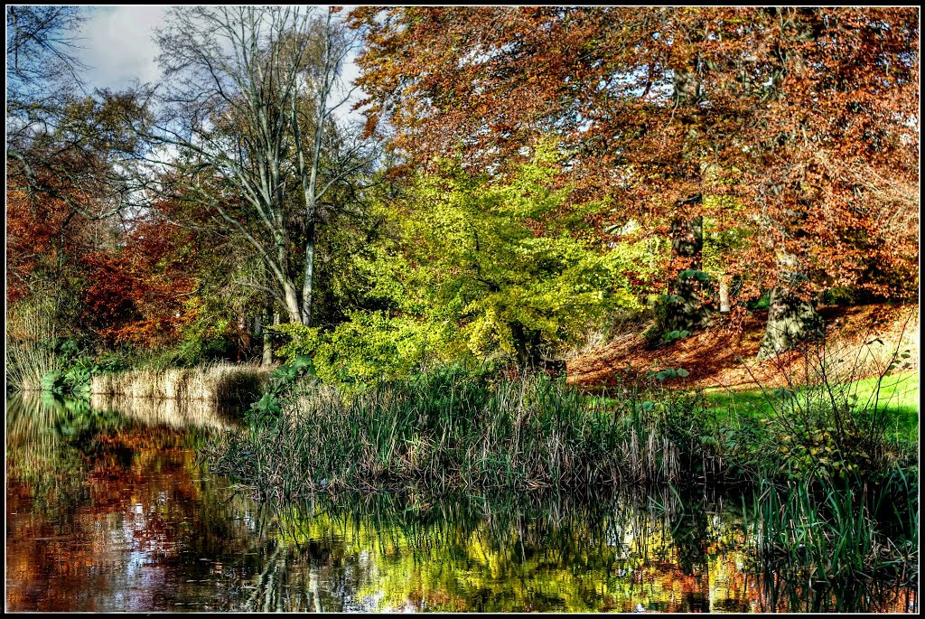 Charming Autumn colours by Nahoon