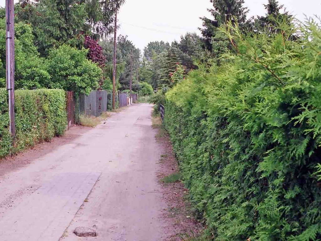 Koloniegärten zwischen Französisch-Buchholz und Berlin-Blankenburg - Colony Gardens between French-Buchholz and Berlin-Blankenburg by JoNuthack