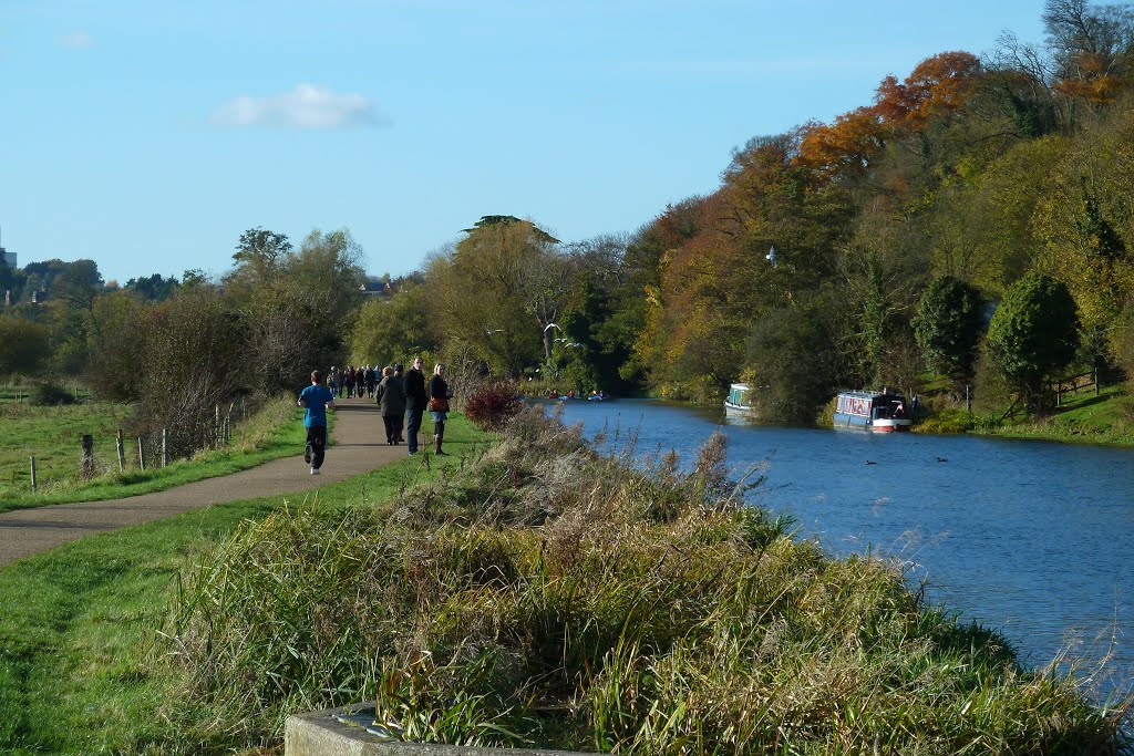 The River Lea near Ware by jayembee1969