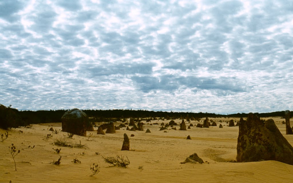 Clouds over the Pinnacles / WA (Aug. 1979) by palMeir