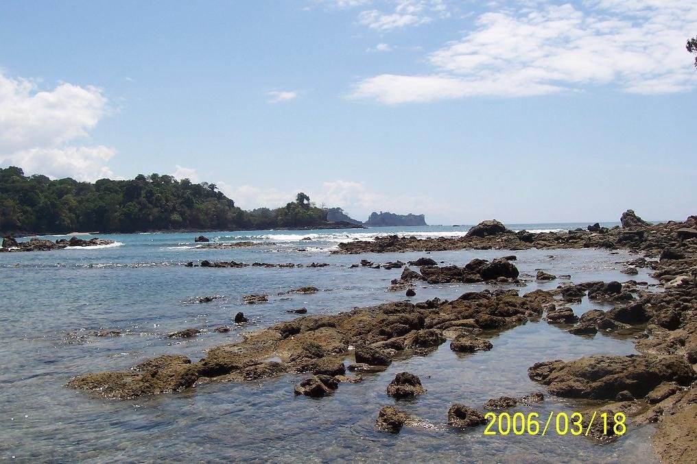 Manuel Antonio by Carlo Vivi