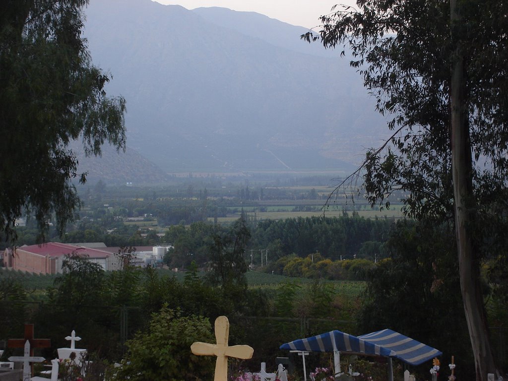 Panquehue desde Viña Errázuriz by ferrofreddy