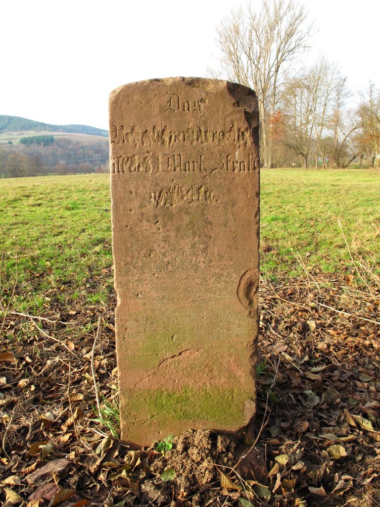 Verbotsstein (19. Jhd.) an der alten Werbacher Welzbachfurt by lebola