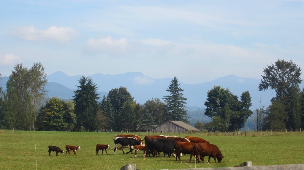 MooFeeder by The Chuckler