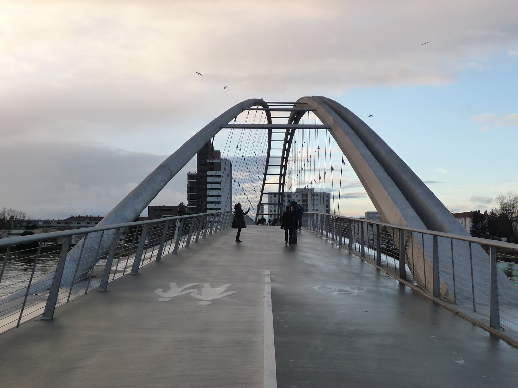 Passerelle des Trois Pays 3 by bienenritter