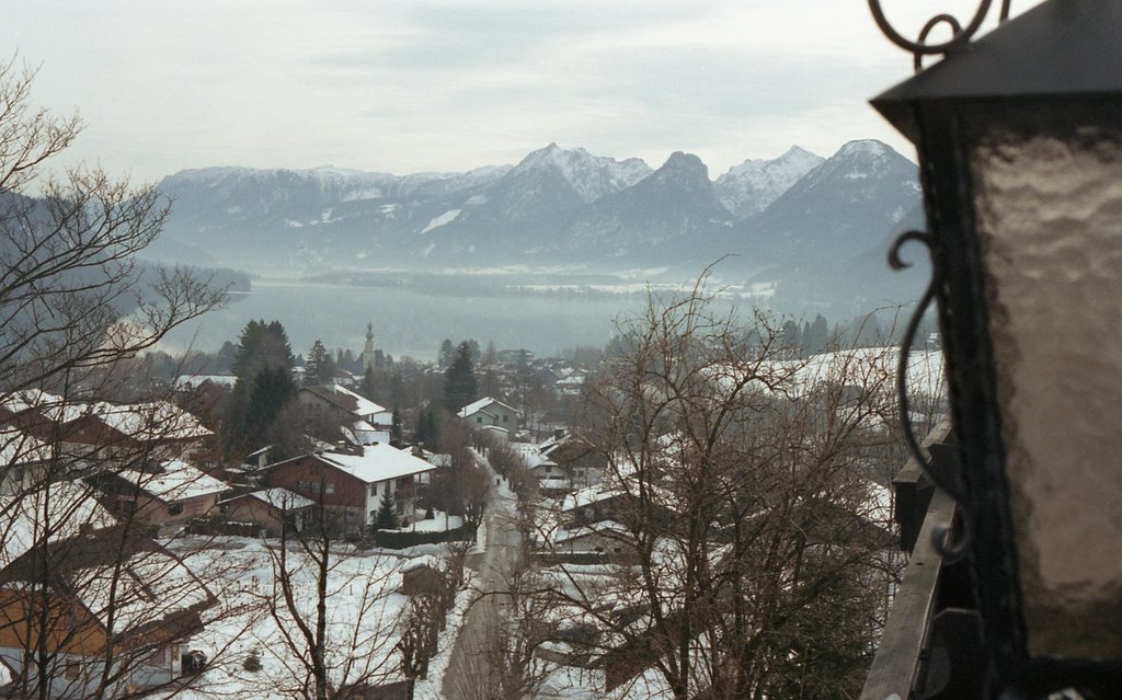 Fuschlsee, Vorderelsenwang, Austria by A J Butler