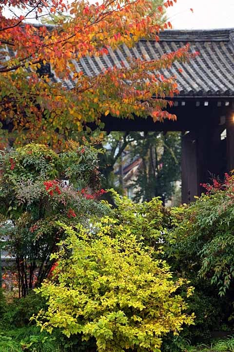 Kita-daimon Gate of Tofuku-ji Temple by nutakku