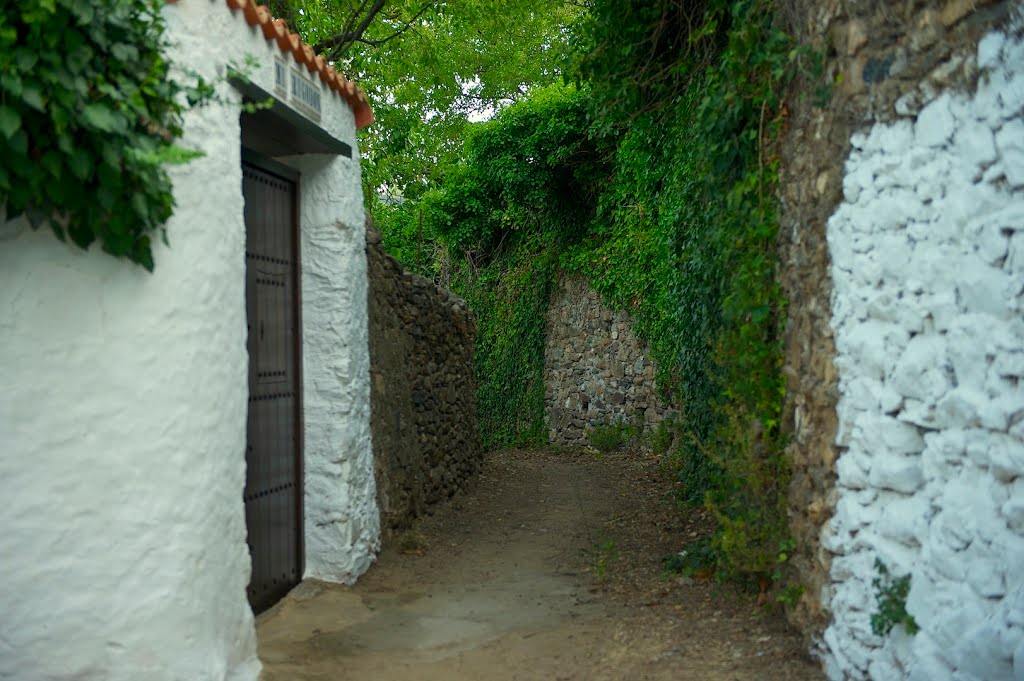 Cerca de la fuente antigua by TAMERLAN7