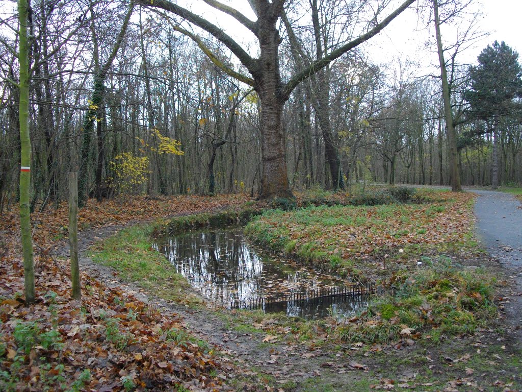 Chemin et allée de chaque côté du ruisseau de Longchamp au bois de Boulogne by Claudius B.