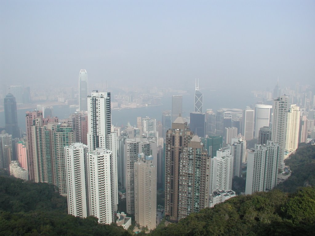 View of HONGKONG by Teras Yas