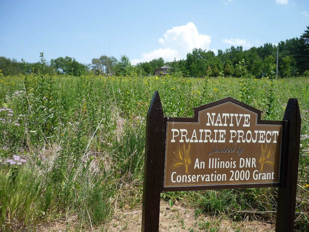 Native Prairie Project by embryojoe