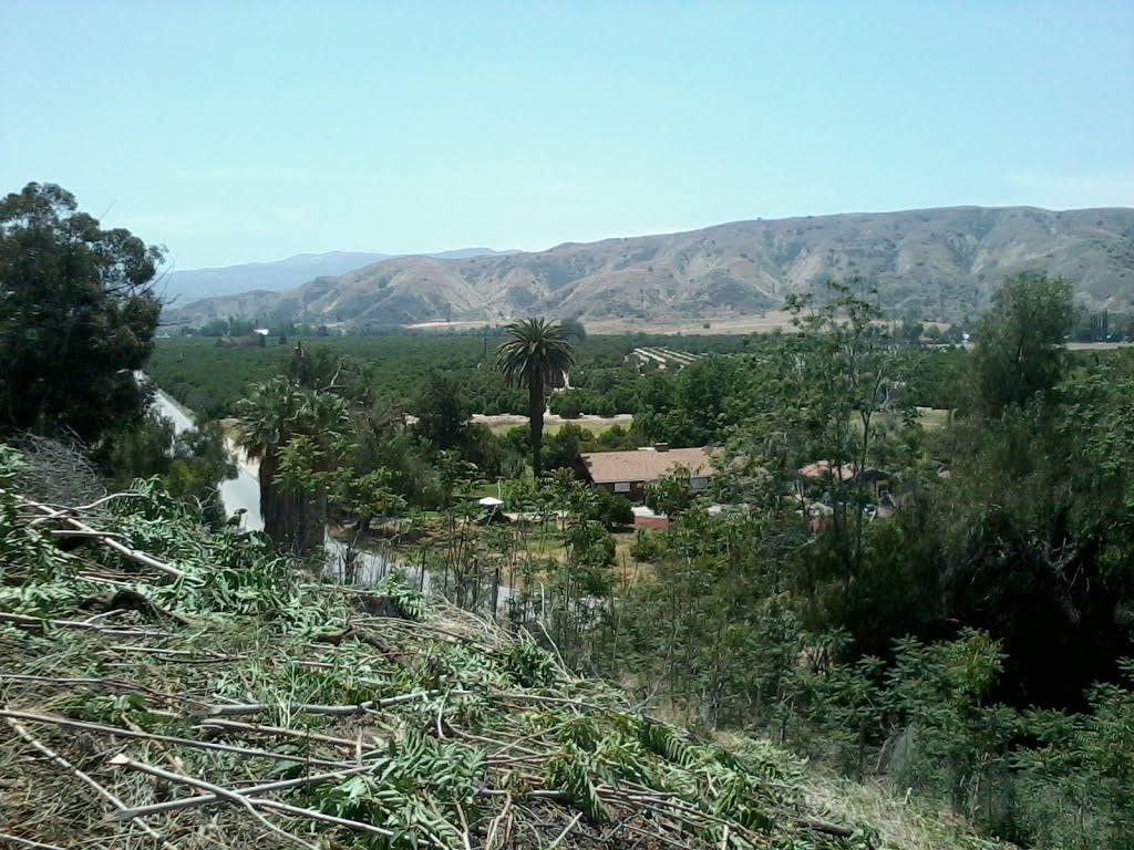 San Timoteo Canyon by monziyo mexia