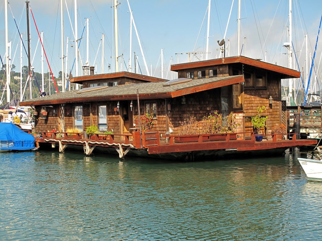 House over the water in Sausalito, Ca by Seezunge