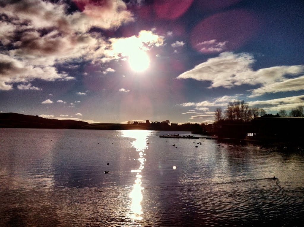 Birds on Hollingworth Lake. by rustyruth