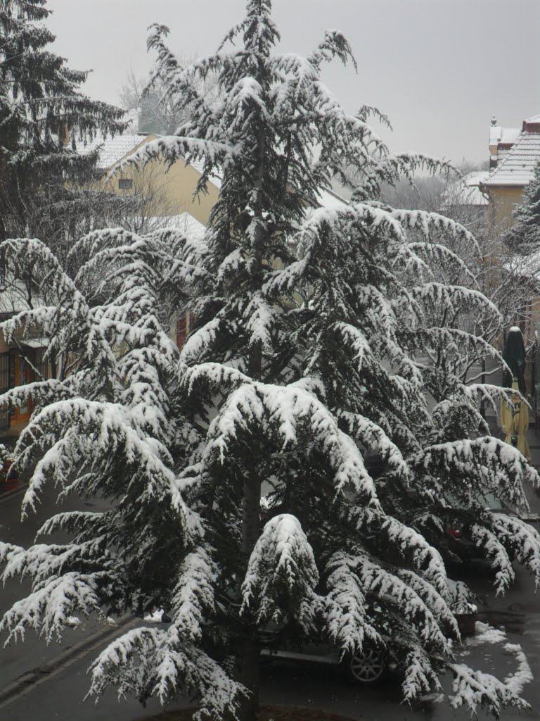 AZ ELSŐ HÓ by bartokilonka