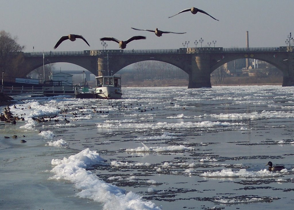 Winter an der Elbe by Schifftorianer