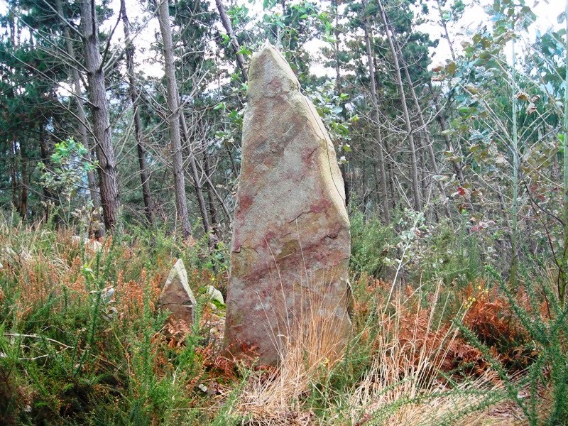 Menhir Sorbitzuaga by Alfonso-Mart