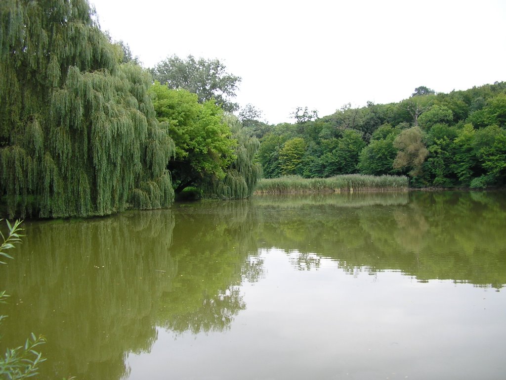 Széchenyi kastély parkrészlet by Bocskor Ádám