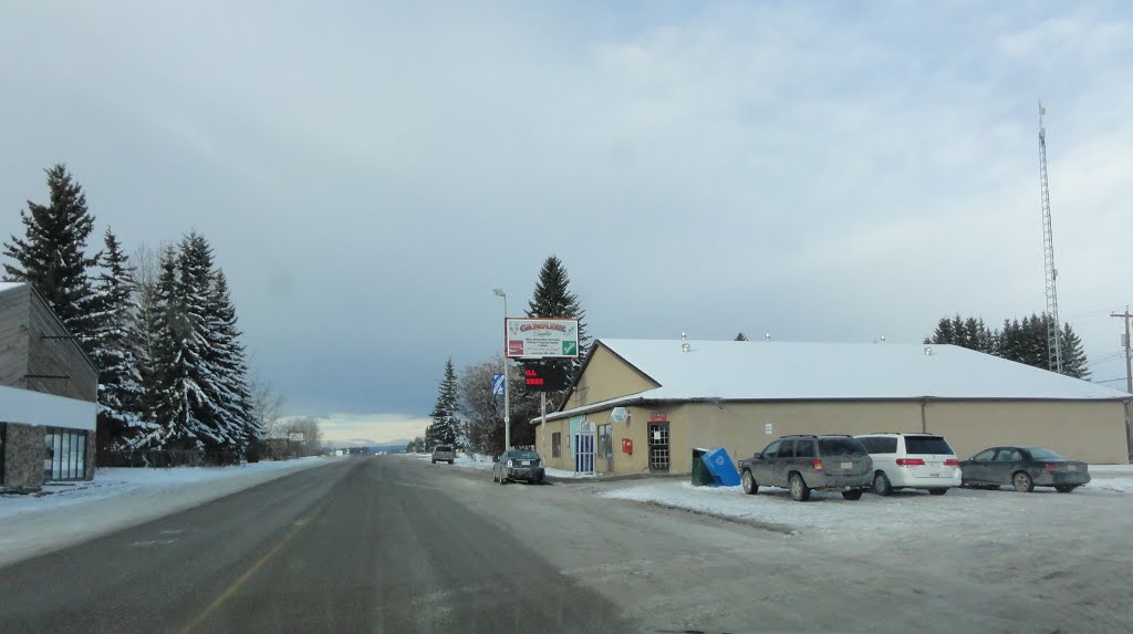 Hunting store in Caroline AB. Nov/ 2012. by Tony Sterl