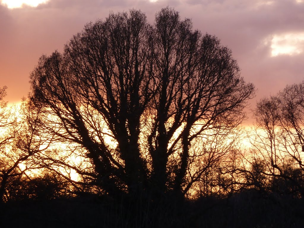 April 2012. Sunset over Mill Road, Liss. by RedRobbo