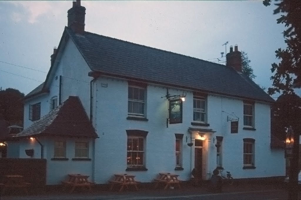 The Swan at Dusk in Marbury - England by bevoarchitect