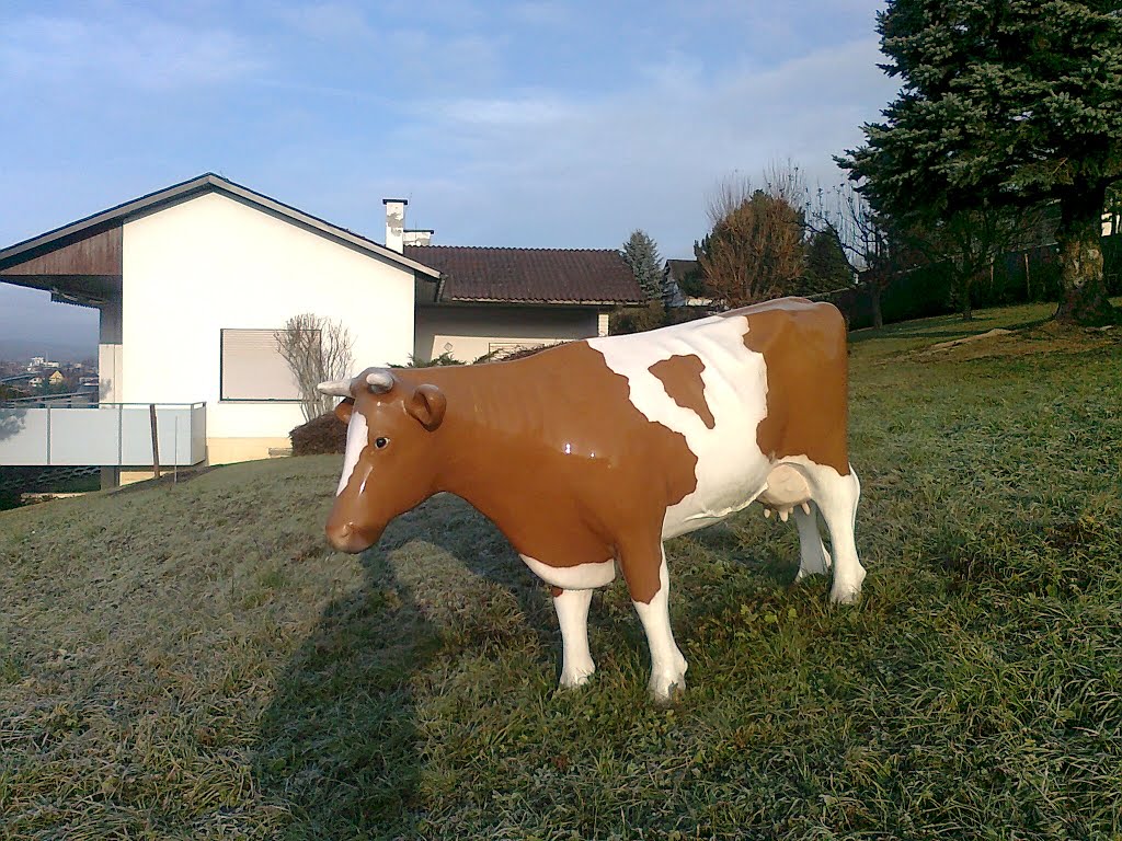 Oberwart, ez nem a Milka tehén by renault25