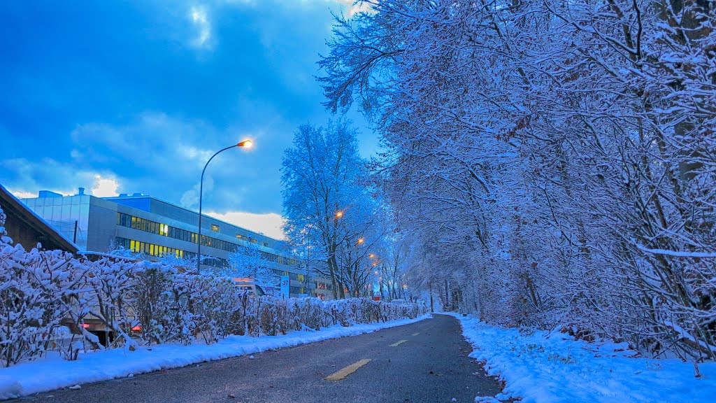 Bremgartenstrasse on winter by kitty@bern