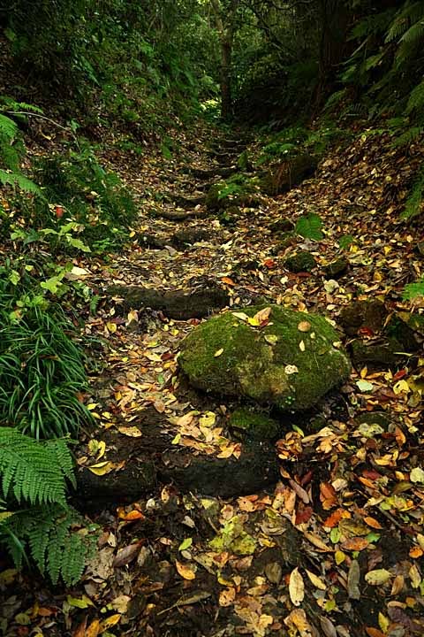 Path to Nagoe-kiridoshi Pass by nutakku