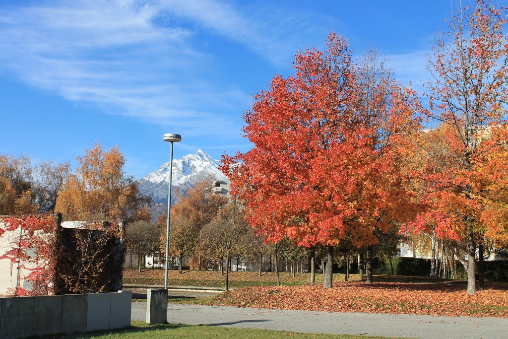 Sion - Espace Roger Bonvin by Charly-G. Arbellay