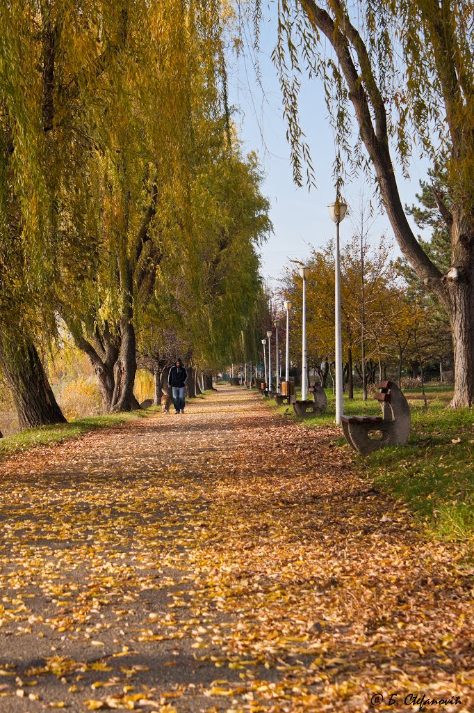 Walking alone with a friend by Boris Stefanovic