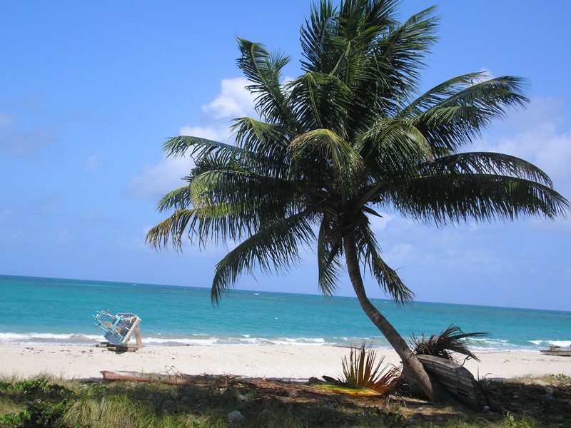 Visão belíssima da Praia dos Carneiros by weslley