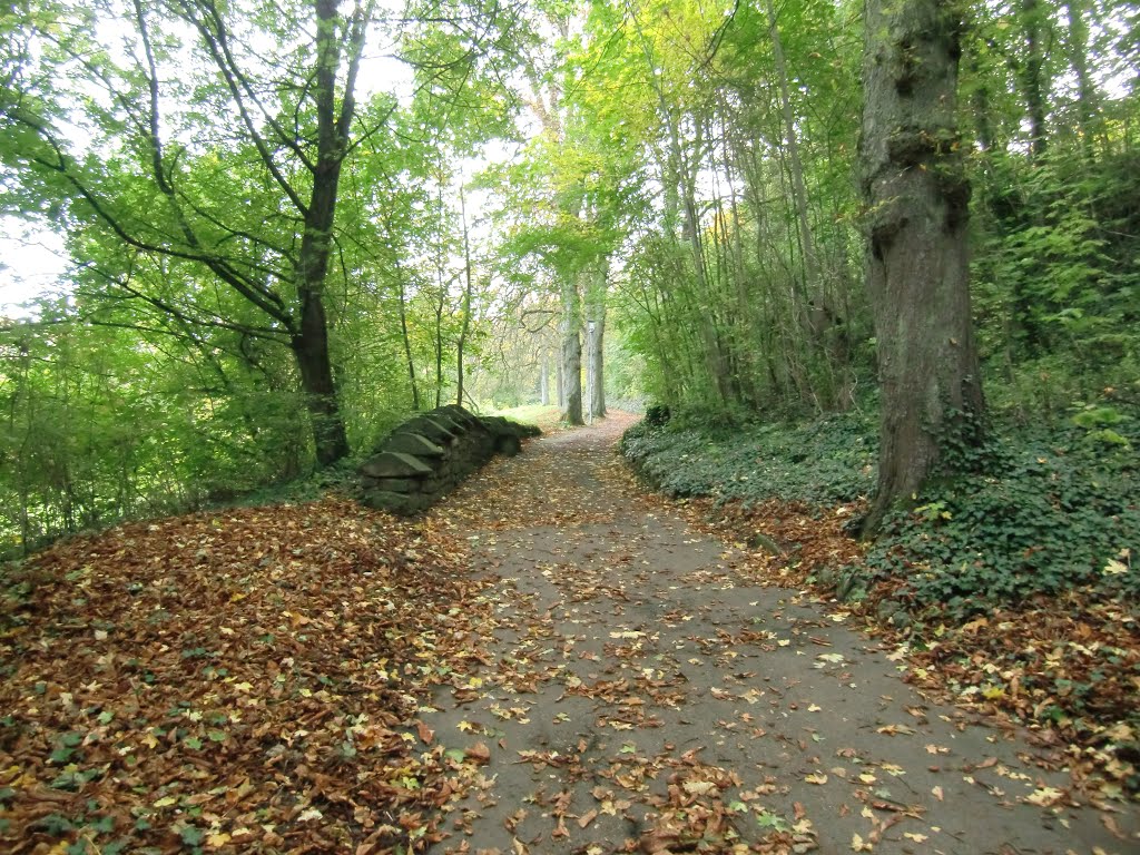 Waldweg zum Kobolzeller Tor by wolfram.jesse