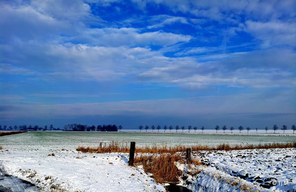 Winter in the Netherlands by Tjeert.Mensinga ©