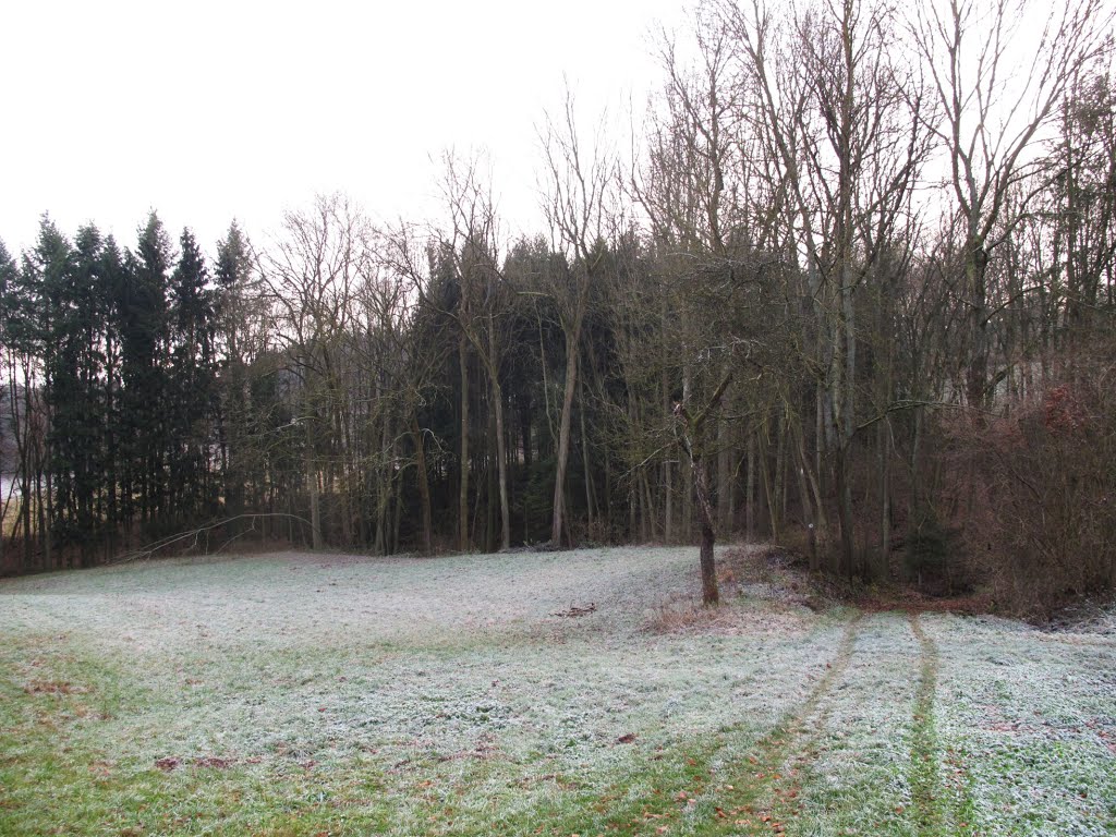 Der Weg zur kleinen Furt durch die Gänsbachklinge by lebola