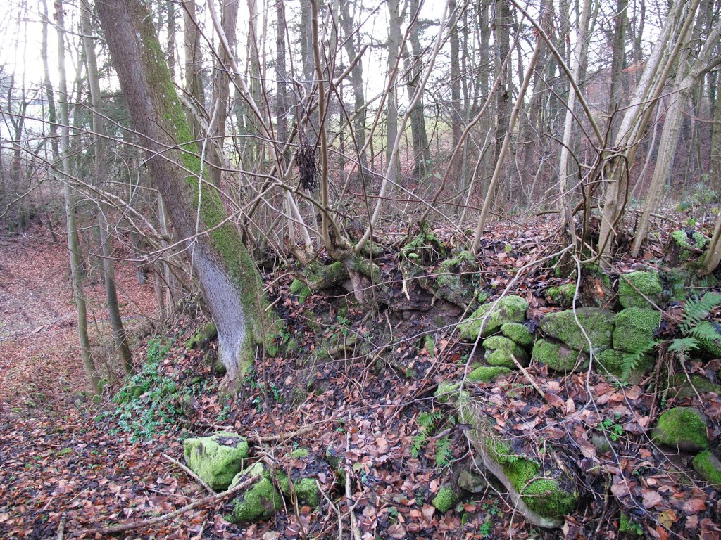 Mauerreste bei der Furt über den Gänsbach by lebola