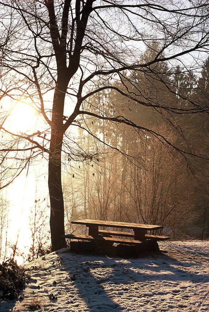 Sonnenaufgang am Herrenbachsee II by Roland Freudenreich