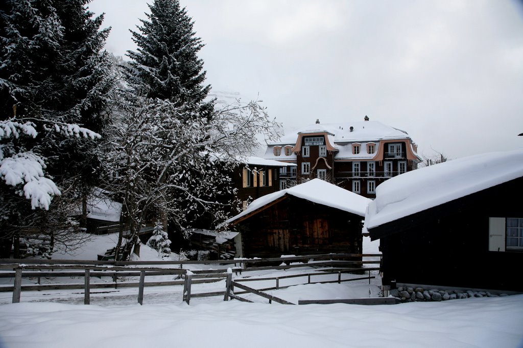 Village of Murren by junepurdy