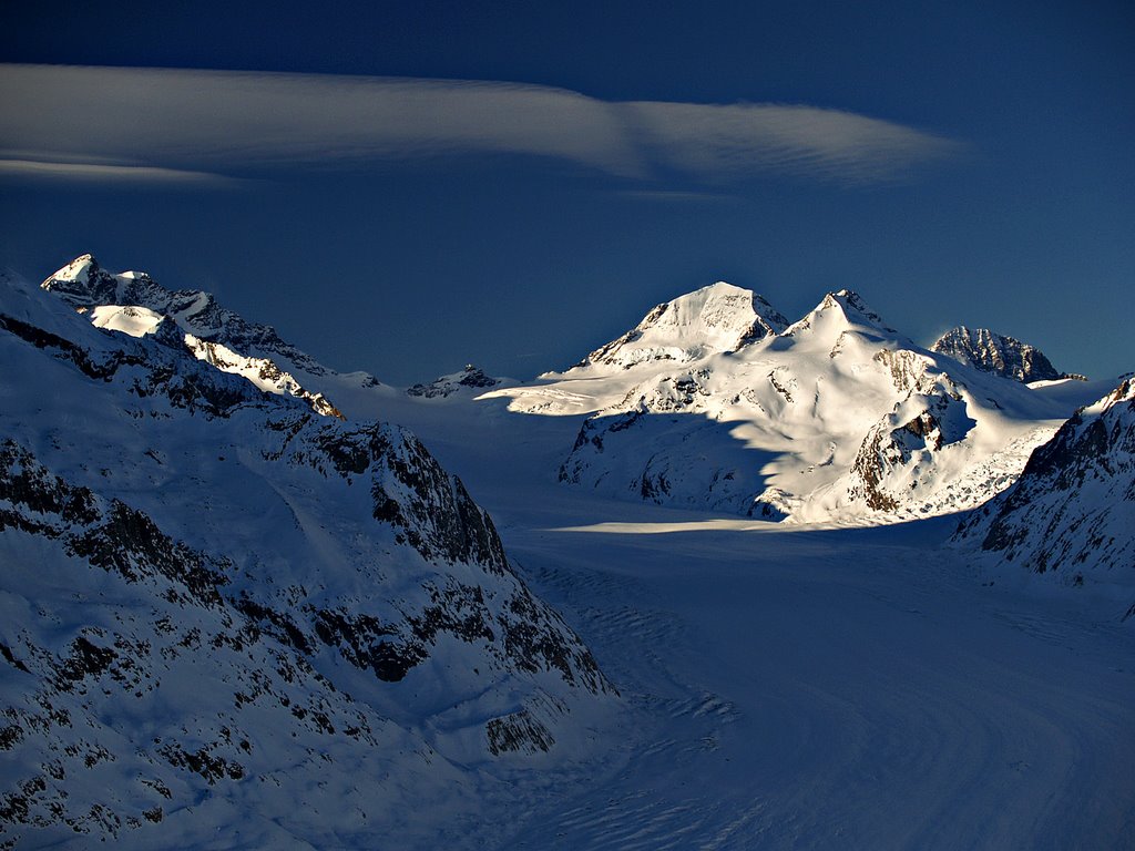 View of Aletschgletscher from Eggishorn, Canton of Wallis, CH by geir-ole