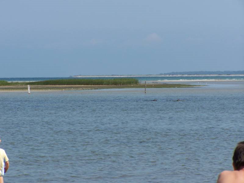 Einer der Strände der Insel Poel im Sommer 2007 by christian_p.