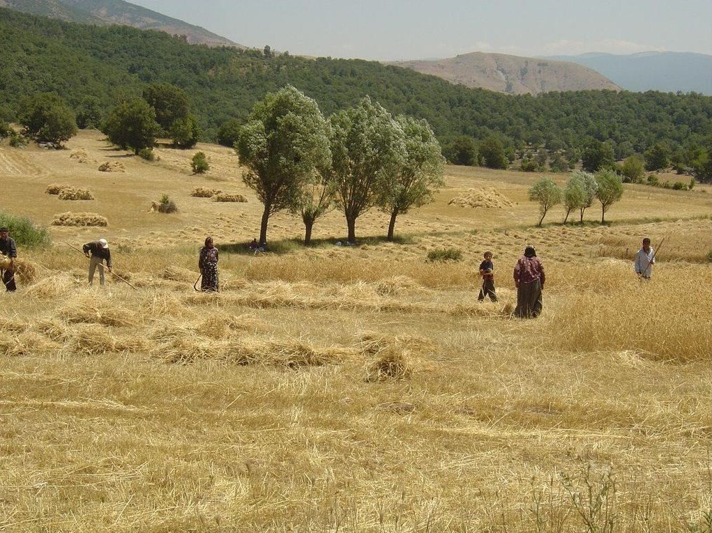 Yolüstü Reşadiye Tokat by Huseyin Altın