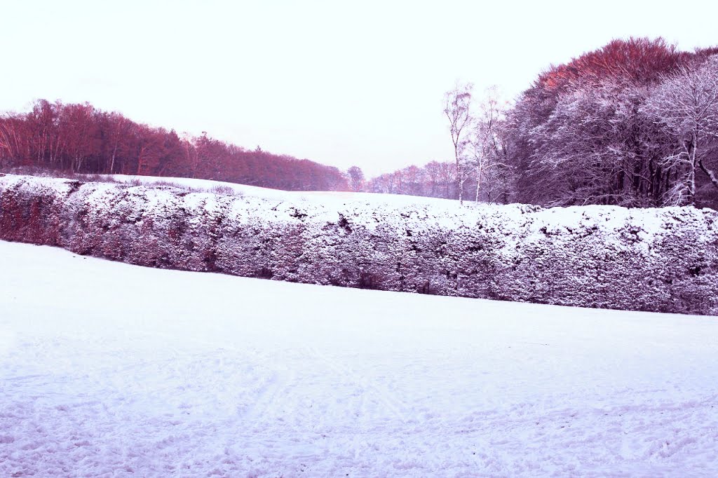 Besneeuwde Bedstee, Mariëndaal by Bengeltje