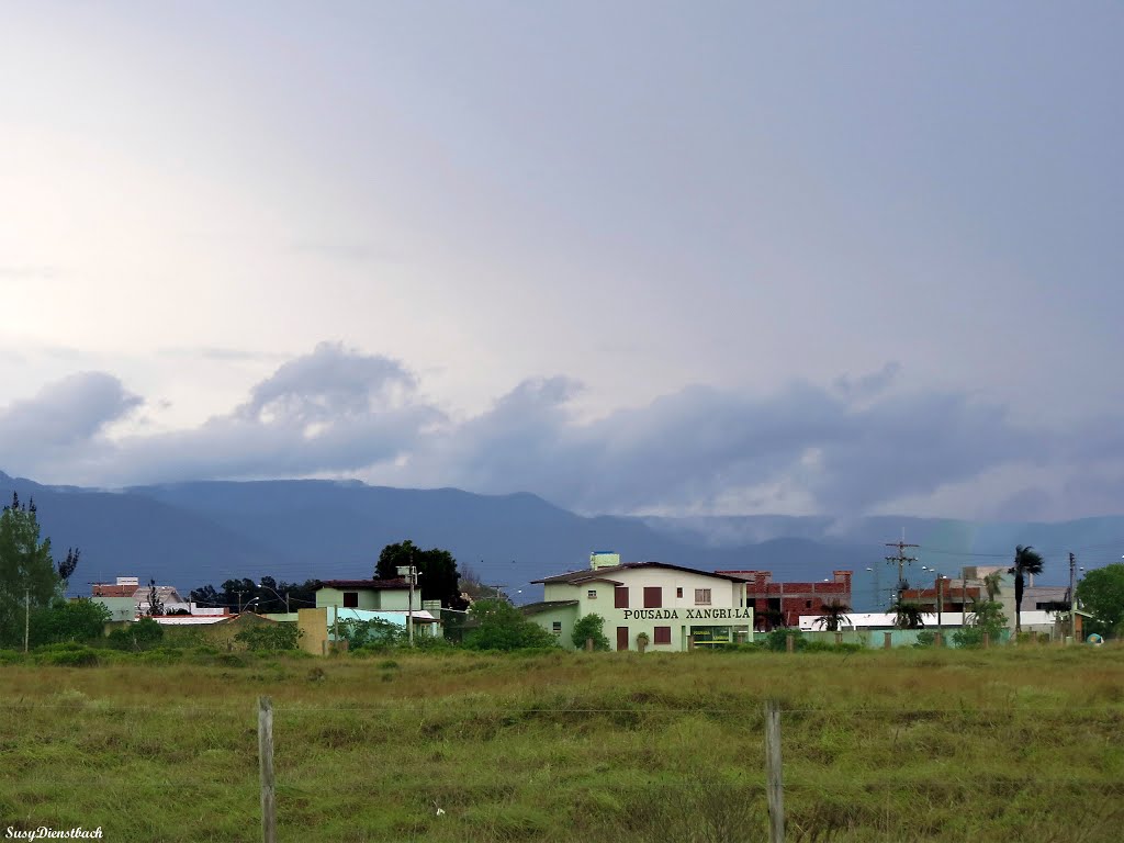 Serra do Mar 2 ...By SusyDienstbach by Susy Dienstbach